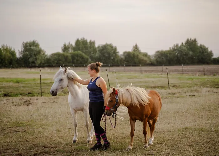 Achter De Hoef Whg 4 *