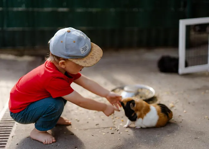 Apartamento Achter De Hoef Whg 4