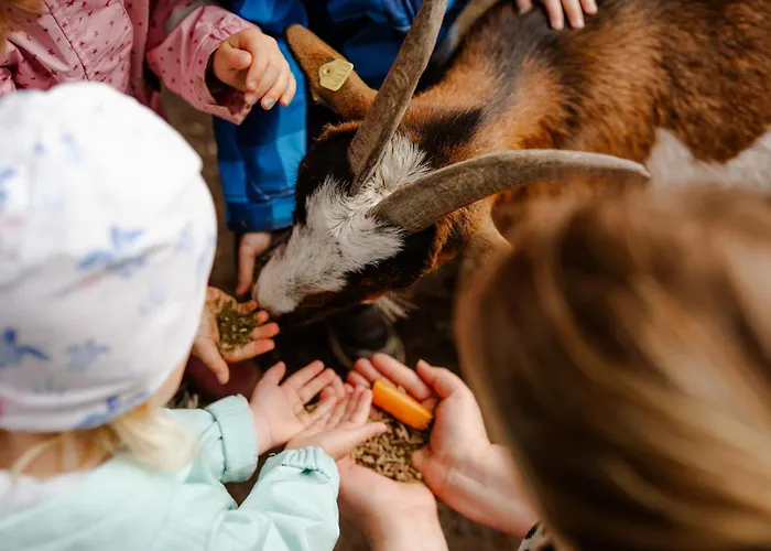 Achter De Hoef Whg 4 Apartamento Staberdorf