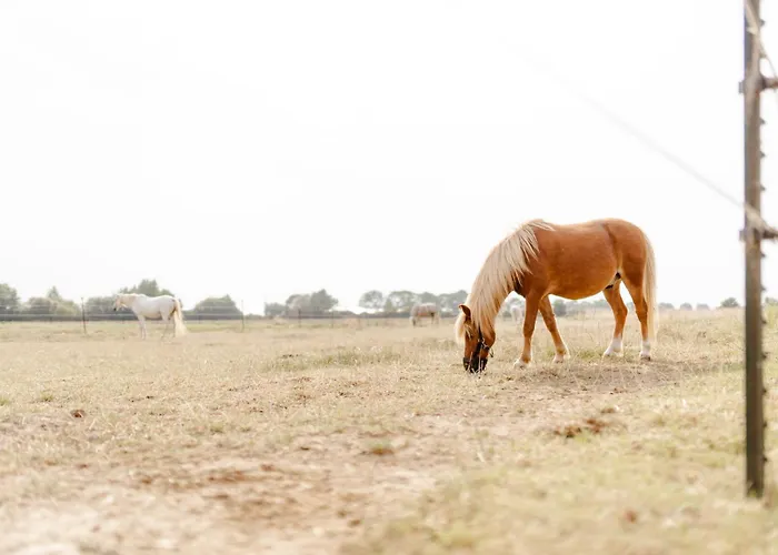 Achter De Hoef Whg 4 *