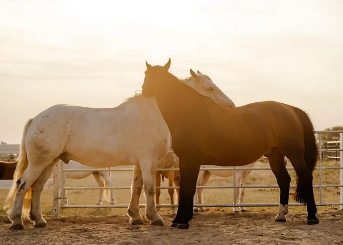 Achter De Hoef Whg 4