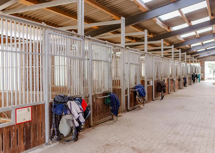 Achter De Hoef Whg 4 Apartamento *