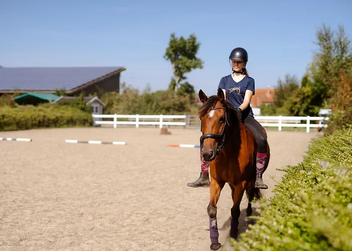 Apartamento Achter De Hoef Whg 4 Staberdorf