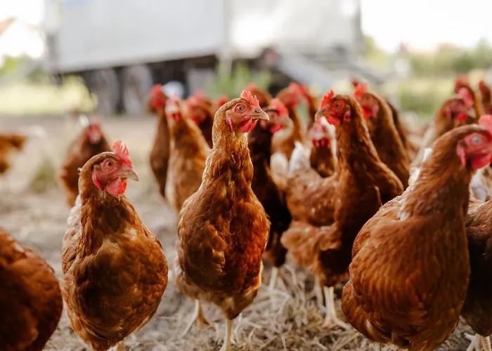 Achter De Hoef Whg 4 *