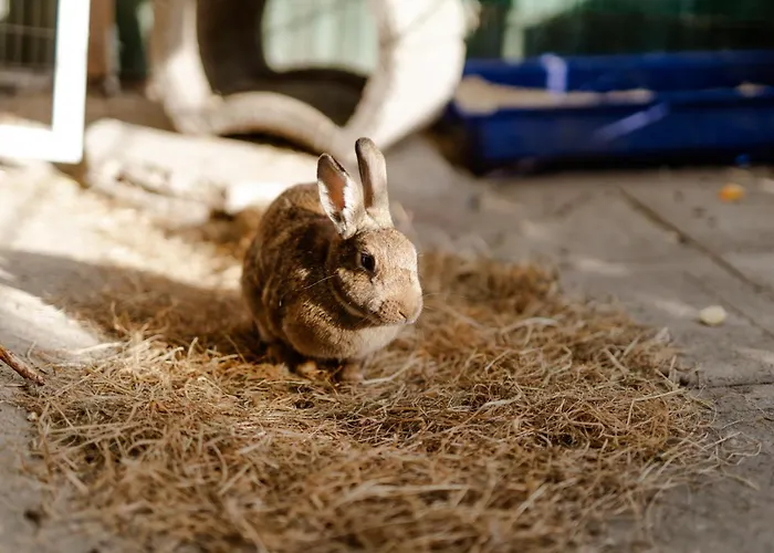 Achter De Hoef Whg 4 Staberdorf