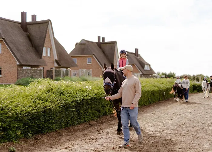 Apartamento Achter De Hoef Whg 4